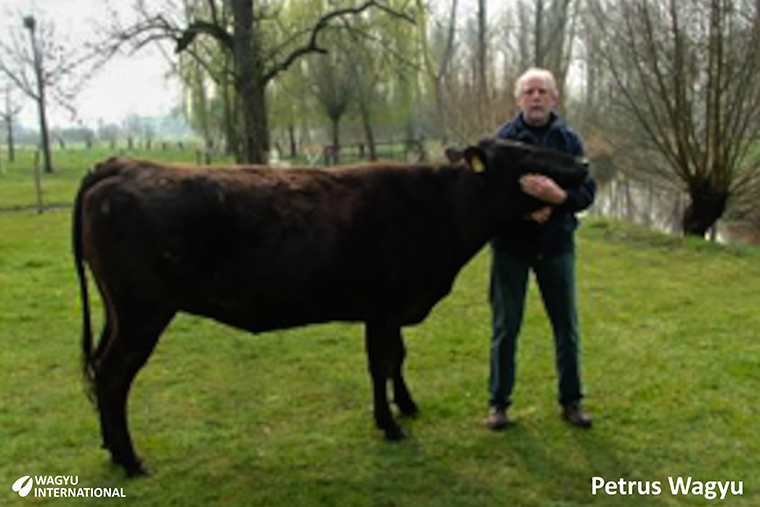 Photo of Peter Geboers of Petrus Wagyu with Kiko